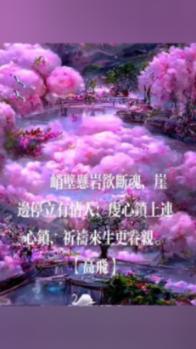 中卫街头卖观赏鱼的老者：目的是为市民提供一个放松心情的好去处